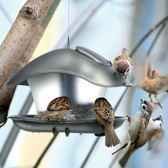 Pallium Hopper Bird Feeder