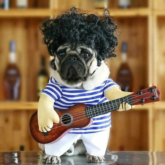 Echoo - Costumes drôles de Chien de Guitare Vêtements pour Animaux domestiques Vêtements pour Chiens Costume Chihuahua Teddy Pug Fête de Noël