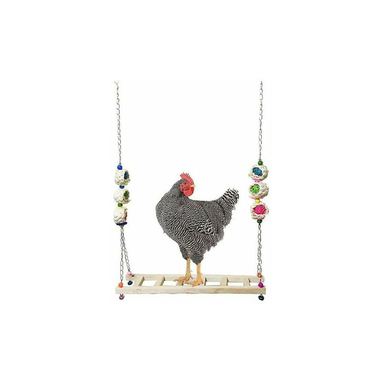 Pet Parrot Poultry Chicken Pecking Birdcage Swing Toy