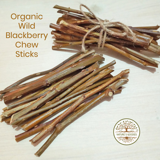 Nature's Goodies Organic Wild Blackberry Sticks Pet Chew Toy Treat for Rabbits Guinea Pigs