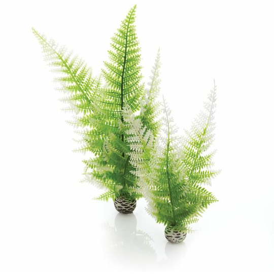 biOrb Easy Plant Winter Fern, Medium