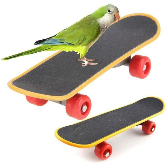 Parrot Puzzle Scooter Grinding Claw Toy Mini Skateboard Toy Skating Toy