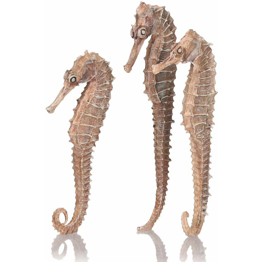 Oase Biorb Seahorse Natural 3 Pack