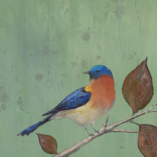 Resting Bird II By Mehmet Altug - Wrapped Canvas Painting Print
