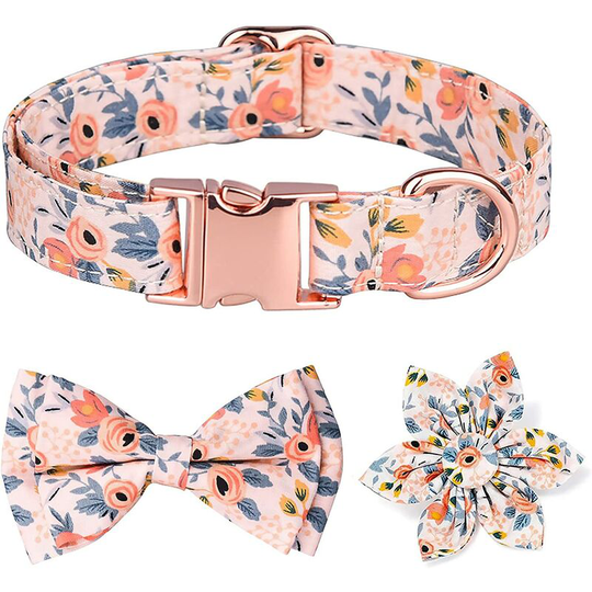 Dog Collar with Detachable Bow Tie and Engraved Floral Design, Dog Collar with Rose Gold Buckle, Medium Large Dogs (L, Orange)
