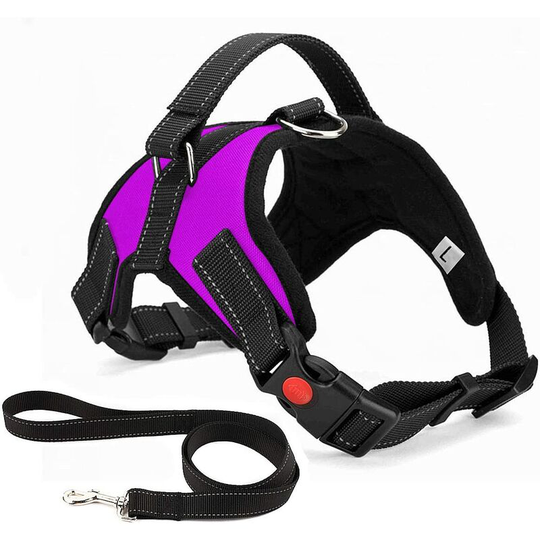 No Pull Dog Harness Breathable Adjustable Comfort Free Leash Included for Small Medium Large Dog Best for Training Walking m Purple