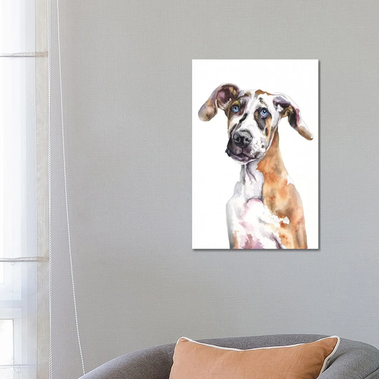 Great Dane Puppy
