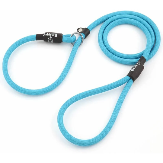 Strong Nylon Slip On Rope Dog Puppy Pet Lead Leash - No Collar Needed - Light Blue - X-Large - Bunty
