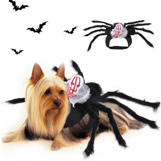 Bat Wings for Dog Cat Fancy Dress Christmas Pet Halloween Costume (Medium Spider Costume for Face (Suitable for Cats, Small Dogs,M)