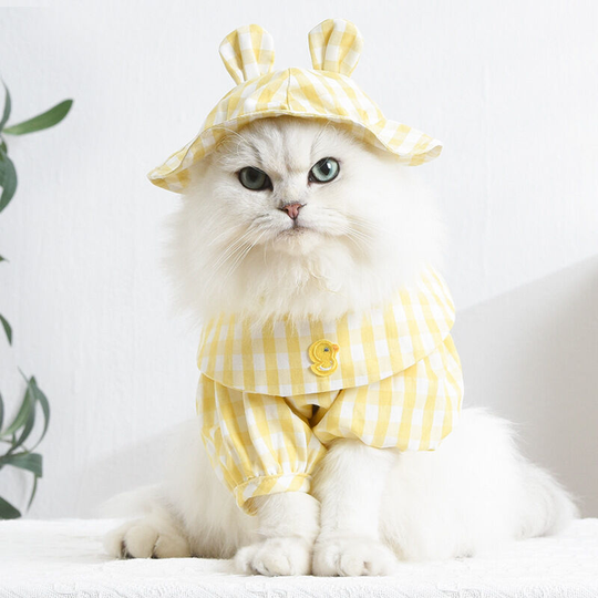 Spring and summer new pet clothes dog clothes Teddy Boomerang vip clothes cat clothes kitten clothes two-legged clothes m (chest 35', neck 28', back
