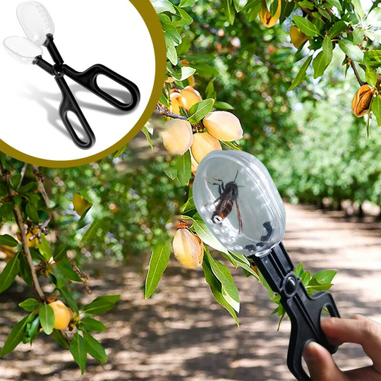 Bearsu - Portable Transparent Insect Catcher Scissors Indoor Outdoor Kids Fish Tank Bug Scooper Clamp Forceps Tweezers Biology Study Supplies
