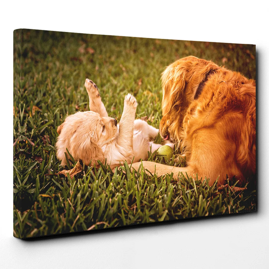 Golden Retriever Dog and Puppy Photographic Print on Canvas