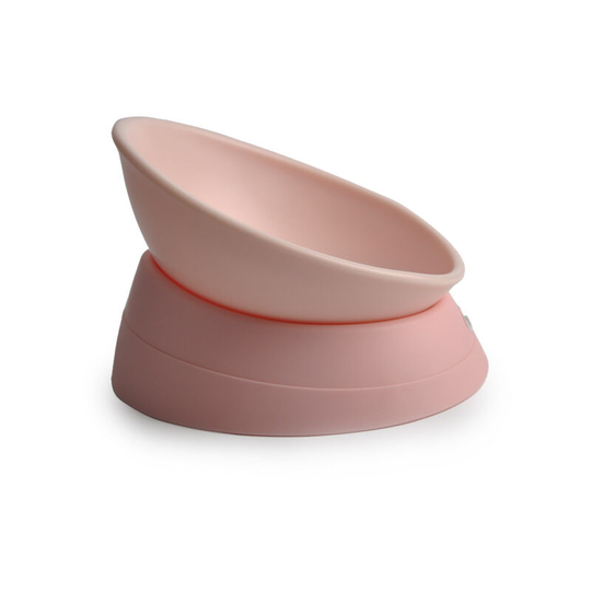 Non-Slip Detachable Rubber Dog Bowl Sterile Tilted Pet Food Bowl with Tilted Base