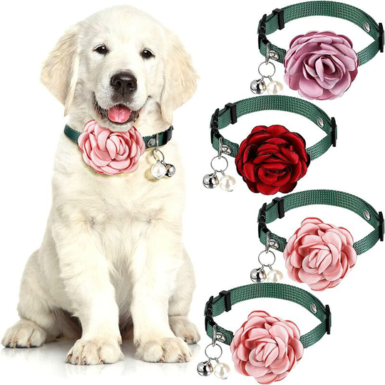 4 Pieces Pet Rose Cat Collar Dog Flower Nylon Adjustable Necklace with Bell and Pearl Pet Accessories for Birthday Party Wedding (Pink, Purple, Wine