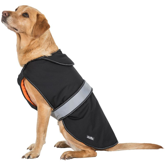 Butch Touch Fastening Softshell Dog Jacket (xs) (Black) - Black - Trespass