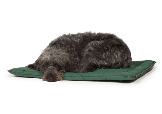 County Cage Mattress in Green