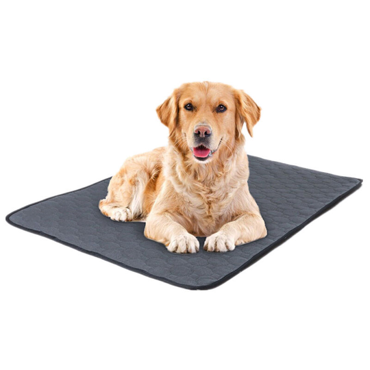 Washable Pee Pad for Dogs,1 Pack Extra Large Reusable Puppy Training Pads Super Absorbent Puppy Pet Potty Incontinence Pads for Playpen Mat &