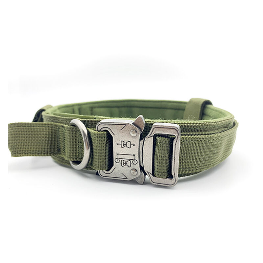 Sturdy, Runaway Resistant Dog Collar, Designed for Dogs, Comfortable and Safe - Walking, Professional Training, Everyday Use.(Medium Green, Military)