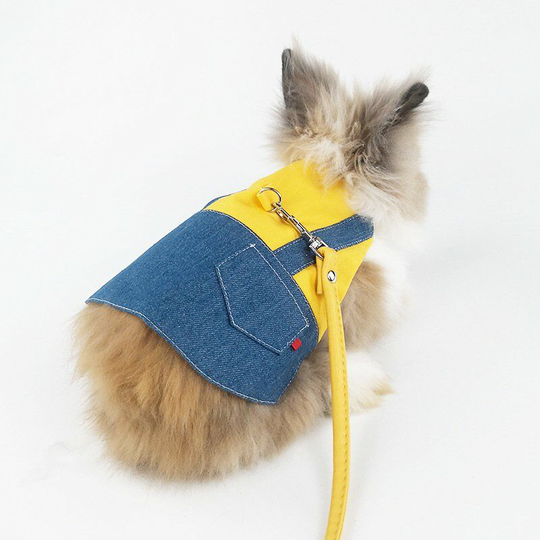 Harness and Leash for Rabbit - Clothing for Rabbit Guinea Pig - Vest and Leash for Rabbit, Ferret, Guinea Pig, Rabbit, Hamster (m)