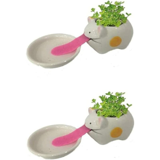 Echoo - Mini Self-Suction Ceramic Flower Pots with Tray for Succulents Cactus Flower Pots Decoration for Home, Office, Indoor , Kitten