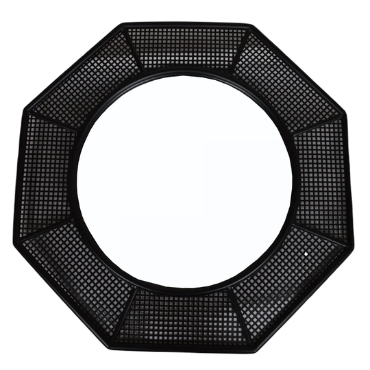 Alastair Octagon Metal Framed Wall Mounted Accent Mirror in Black