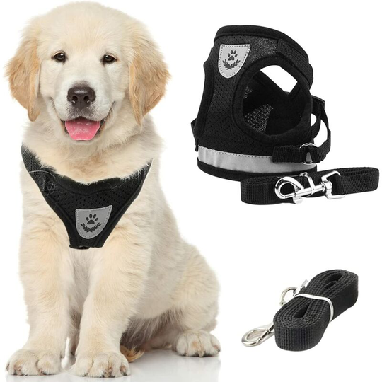Modou - Cat Harness Adjustable Pet Leash Anti-escape Cat Harness Reflective Vest Leash Puppy Harness Breathable Comfortable Cat Dog Harness