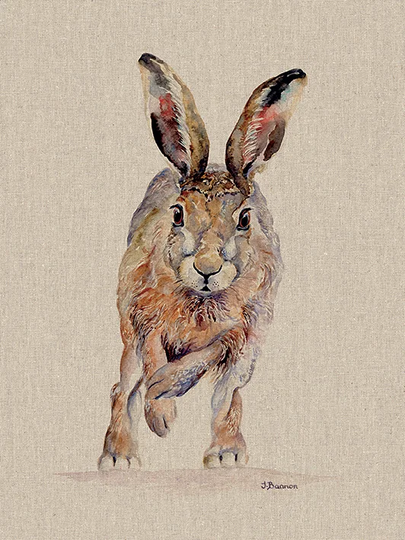 'Phoebe' Print on Canvas
