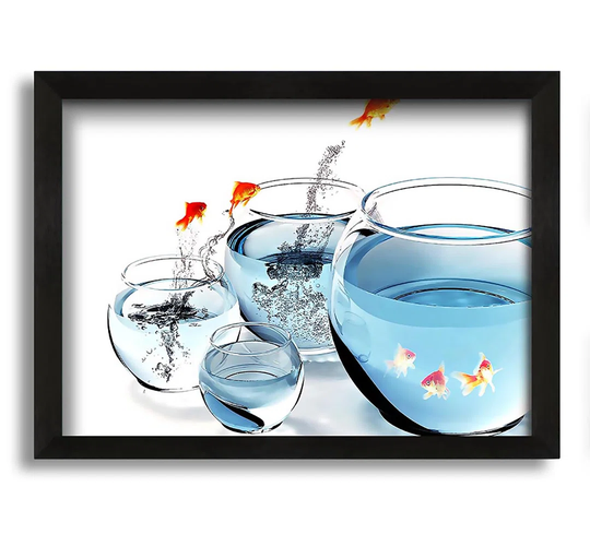 Fishes and Aquariums - Picture Frame Graphic Art on Canvas