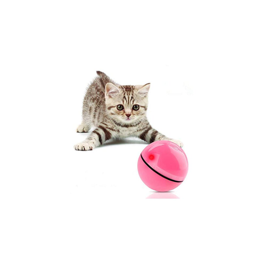 Bojafa Cat Toys for Indoor Cats Kittens Training, Interactive 360 Self-Rotating Cat Ball, USB Rechargeable Smart Wicked Ball with LED Flash Ligh