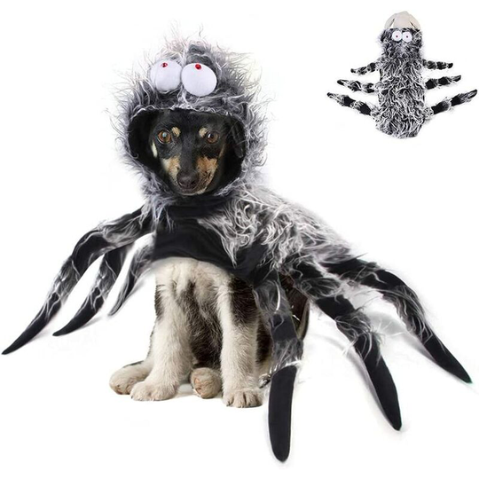 Betterlifegb - Halloween Spider Costume Pet Puppy, Halloween Halloween Costume Funny Cat Cosplay Clothing Chest Accessories (l)