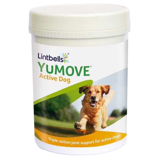 YuMOVE Joint Care for Young Dogs - 240 Tablets