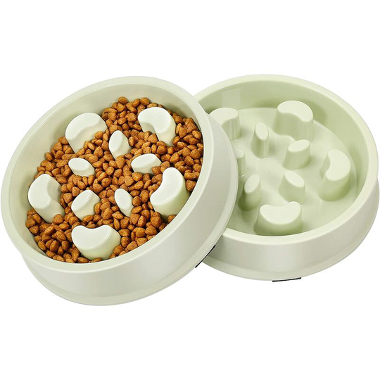 Basic Bowls Set of 2 dog and cat bowls with fun design, green