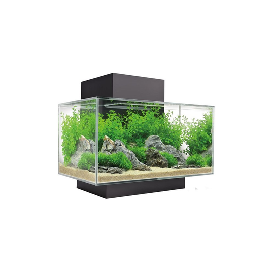 (Black) Fluval Edge 2.0 LED Aquarium Kit 23L
