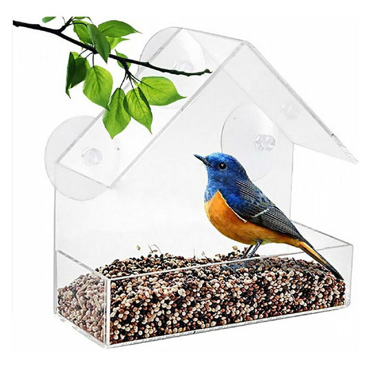 Clear plastic bird feeder with strong suction cups for outdoor garden
