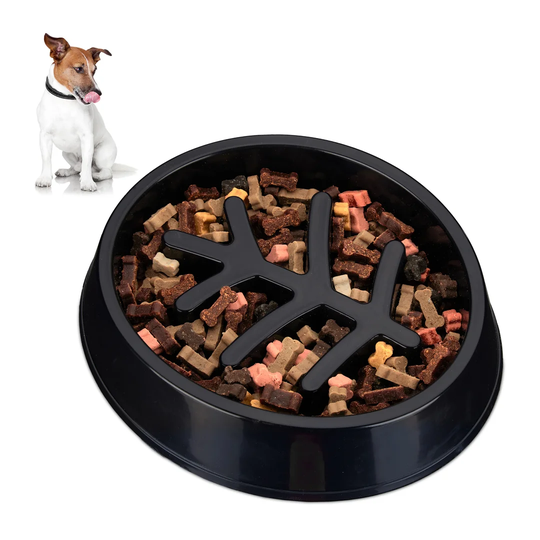 Hogan Dog Bowl