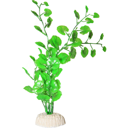 Plastic Tank Plant (6in) (May Vary) - May Vary - Supa