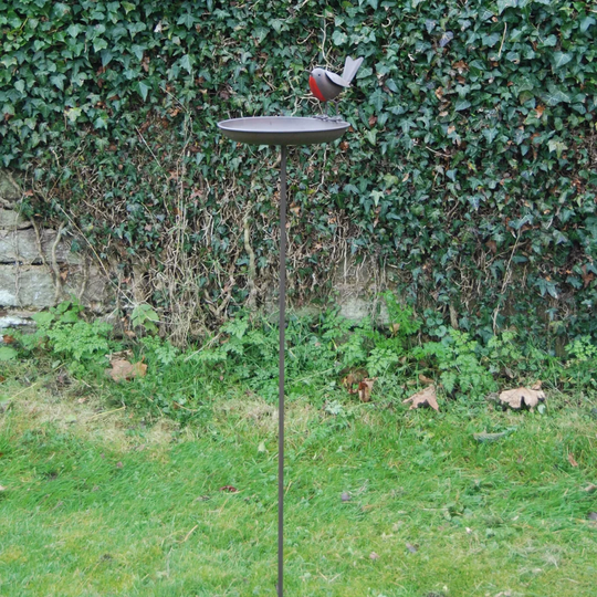 Robin Birdbath with stake