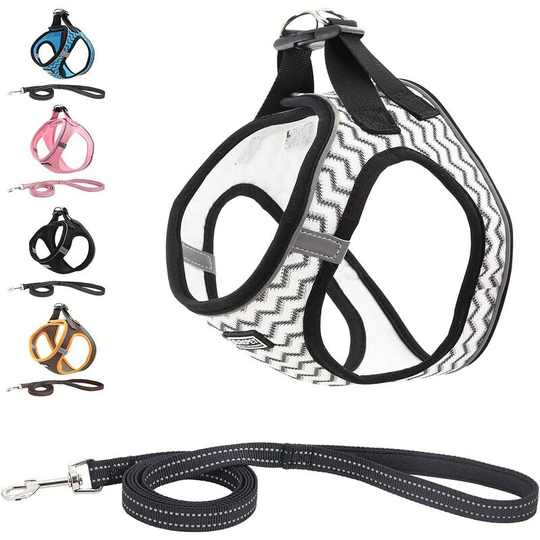 Betterlifegb - Harness Breathable Reflective Dog With Leash, Step-in Harnesses for Dogs Cats, Padded Vest Comfort Mesh Sweet For Small Dogs To