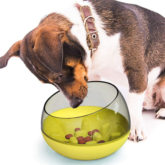 Basic Dog Bowls Slow Feeding Bowl Non-Slip Design Fun Feeder Yellow