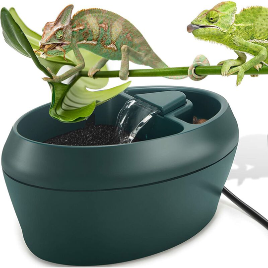 Perle Rare - Reptile Chameleon Bistro with Snack Slot, Amphibian Drinker Drinker Lizard Turtle Snake Spider Frog Gecko with Water Pump