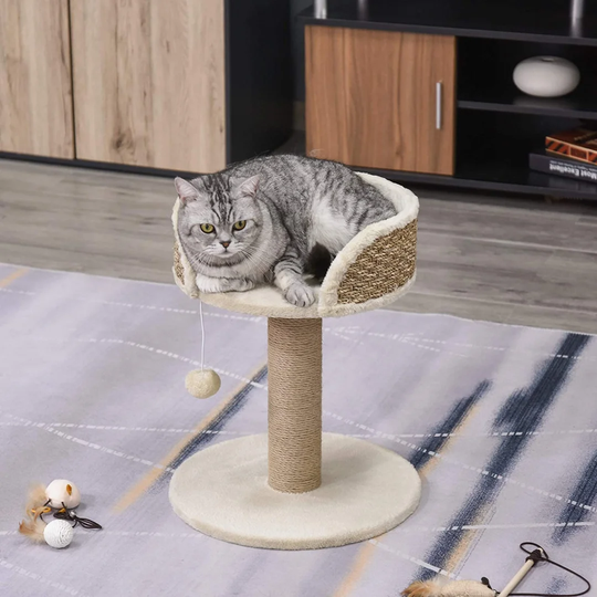 49cm Cameron Cat Perch