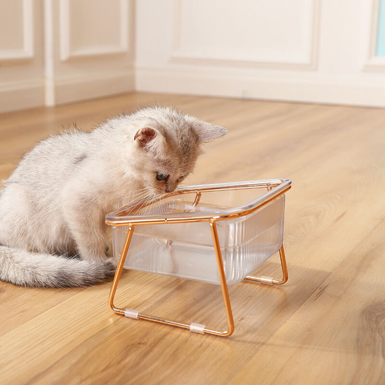Single Cat Bowl with Raised Stand, 15 Angled, Non-Slip, Transparent, for Food and Water, Gold