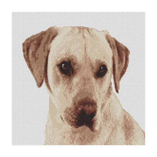 Golden Labrador lab Dog Puppy Cross Stitch Kit 12.5" x 12.5" 11 count