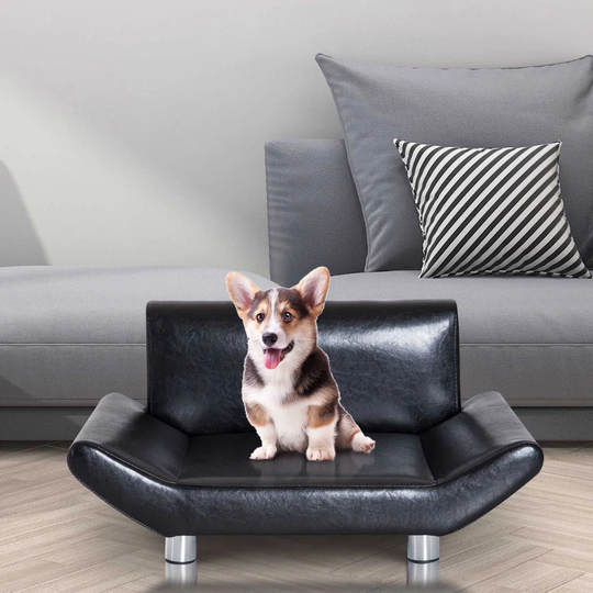 Kolton Dog Dog Sofa