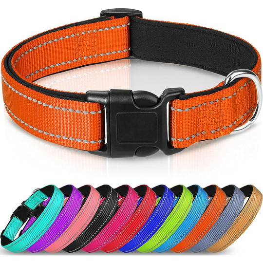 Nylon Dog Collar with Reflective Strip,Classic Padded Collar for Small Dogs,Orange,XS