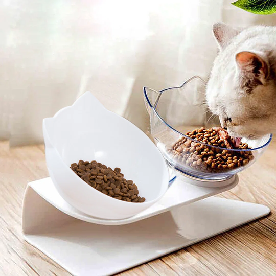 2-Bowl 15 ° Inclined Cute Plastic Pet Feeding Bowl (White+Transparent Bowl)