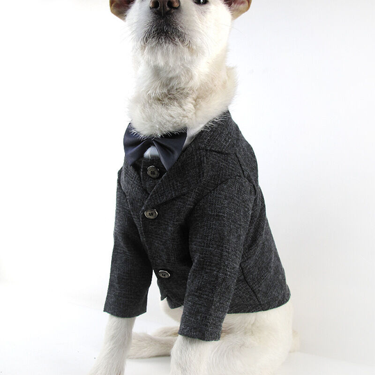 Pet Pharoah spring dress dog wedding dress boutique pet suit vest clothes cat gentleman suit m (chest 48', neck 37', back 30', suitable for weight 5