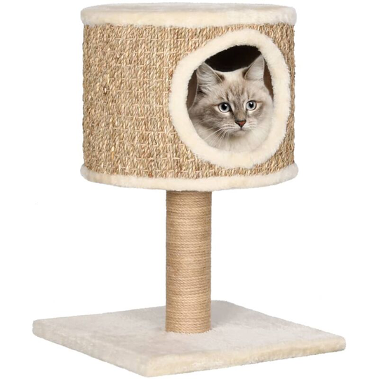 Cat Tree with Condo and Scratching Post 52 cm Seagrass Vidaxl Beige
