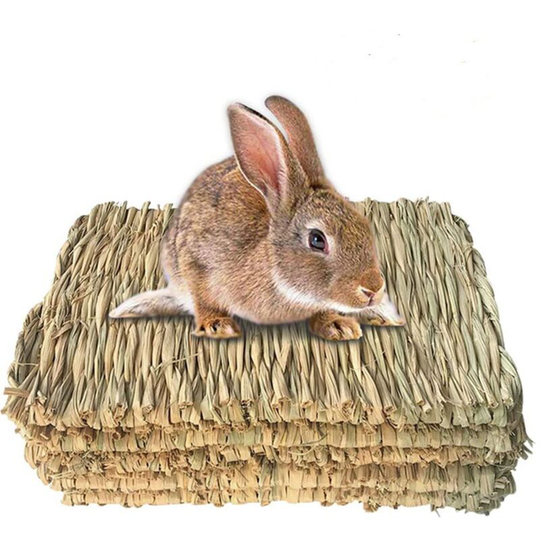 Perle Rare - Rabbit Chew Beds,4 Pcs Natural Rabbit Mats Handmade Woven Grass Chew Toys Safe Edible Rabbits Chew Toys Pet Chew Mats for Hamster Rat