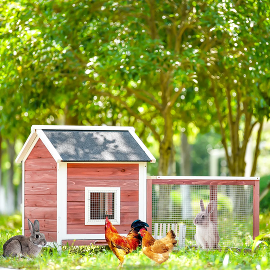 Alverta Weather Resistant Guinea Pig and Rabbit Cage